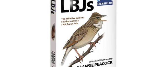 Chamberlain's LBJs cover