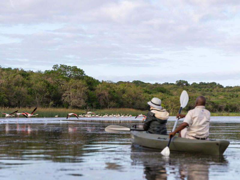x_kayak
